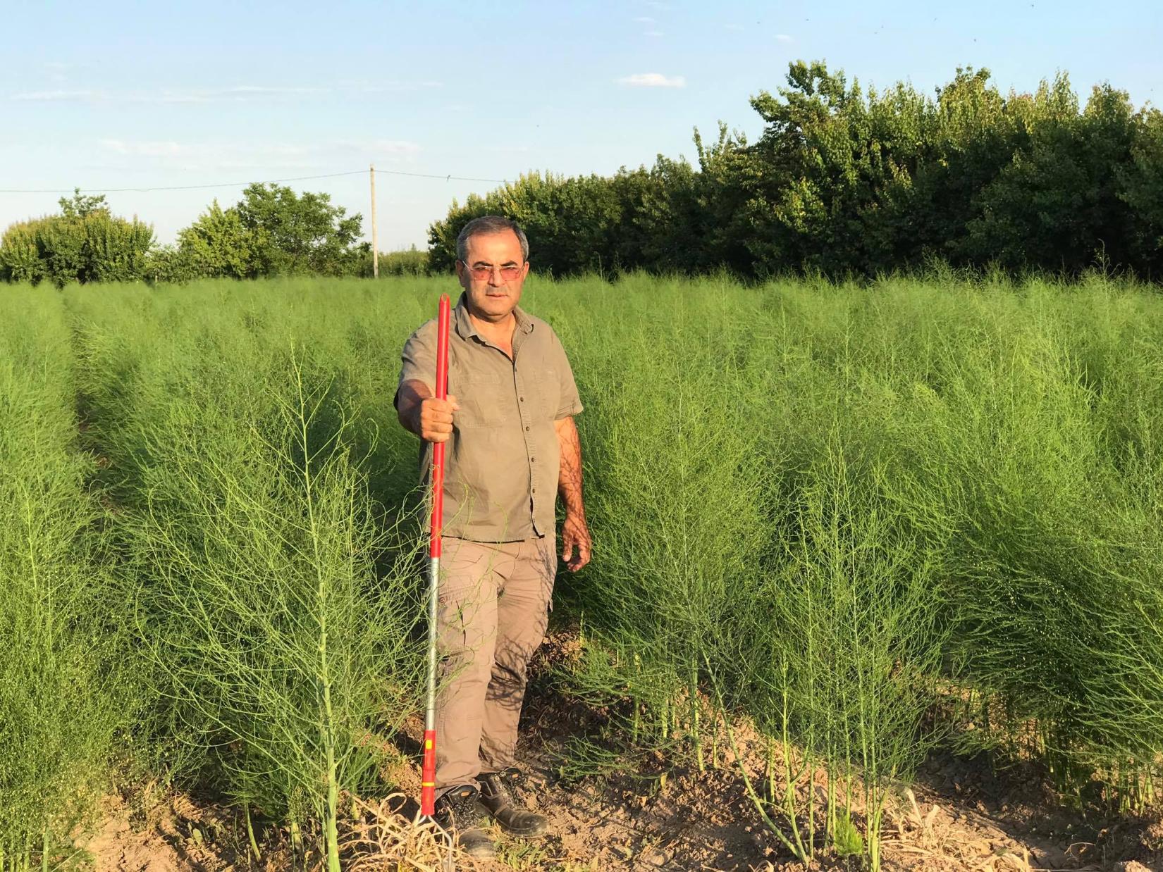 Karen Gabrielyan in his field.