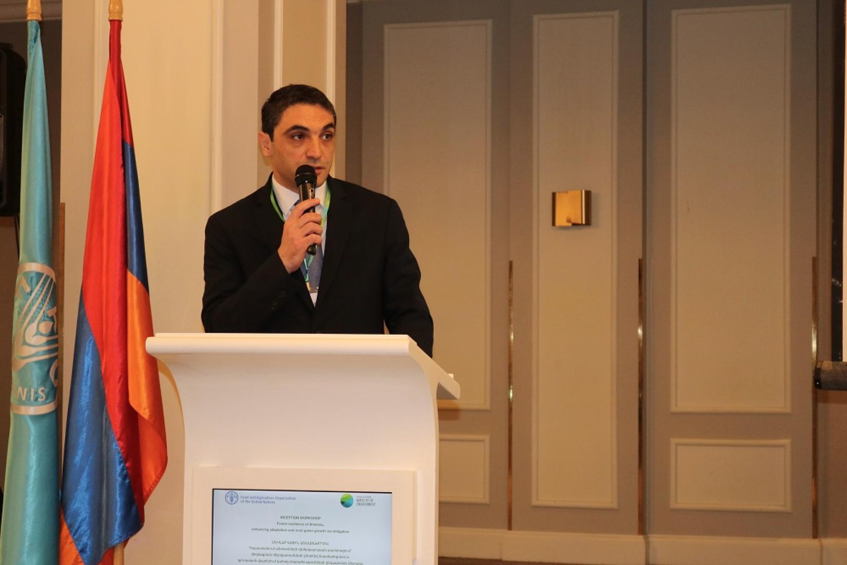 Minister of Environment Hakob Simidyan delivers remarks during the workshop.