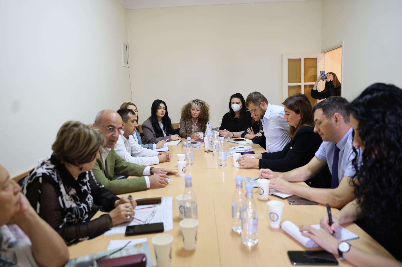 Twelve members of the UN Armenia team in Kapan during the meeting with NGOs.