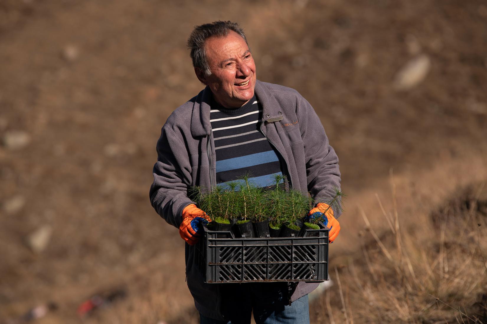 A person holding a box full of seedlings.
