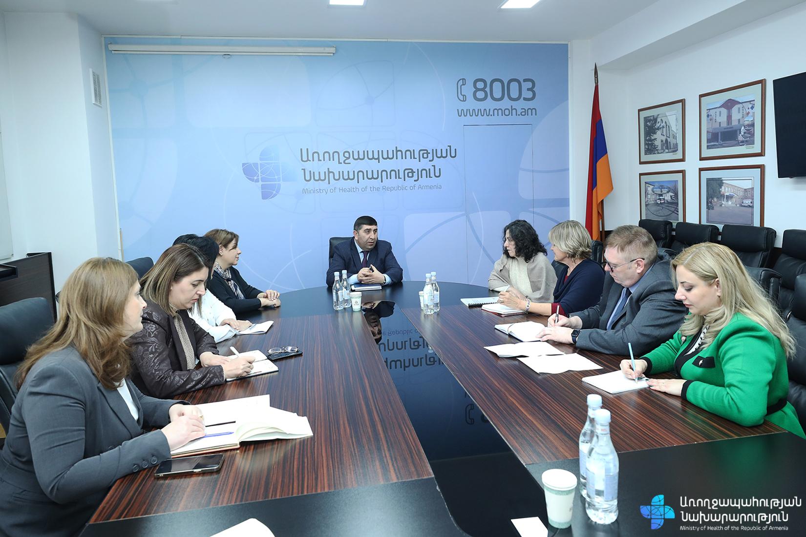 Deputy Minister of Health Armen Nazaryan received the WHO expert team. Eight experts during the discussion.
