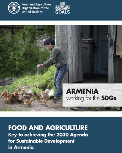 Armenia working for the SDGS brochure cover.
