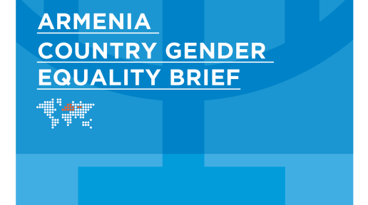 Gender equality brief cover