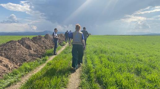 People walking in an open, green field.